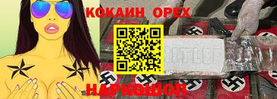 крисы Гай