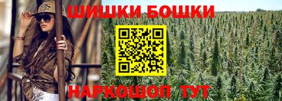 крисы Гай