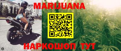 крисы Гай