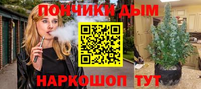 крисы Гай