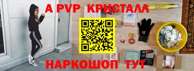 крисы Гай